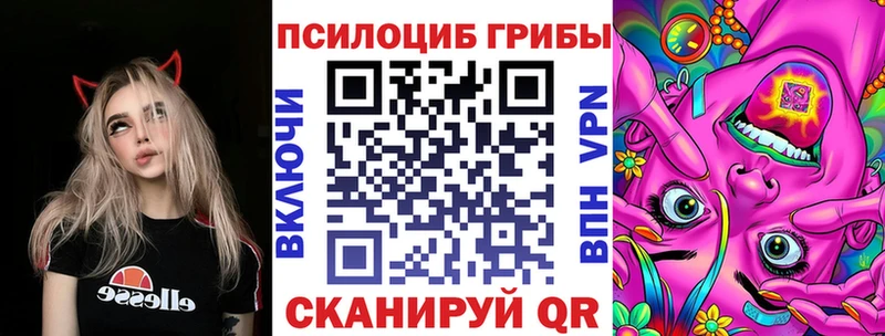 Псилоцибиновые грибы мицелий  хочу   Волгодонск 
