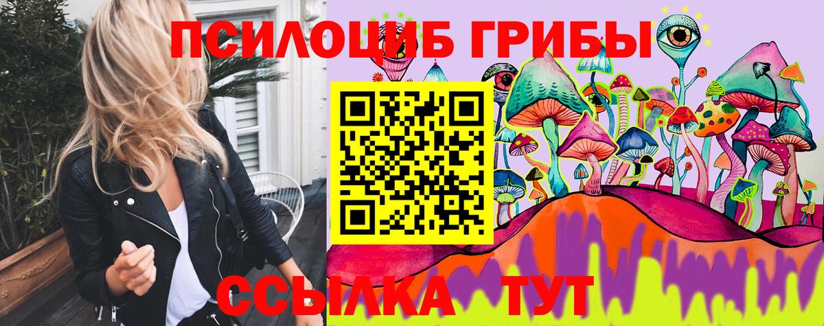 Псилоцибиновые грибы Psilocybe  Вход с VPN  магазин  наркотиков  Волгодонск 